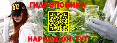 spice Жуковский