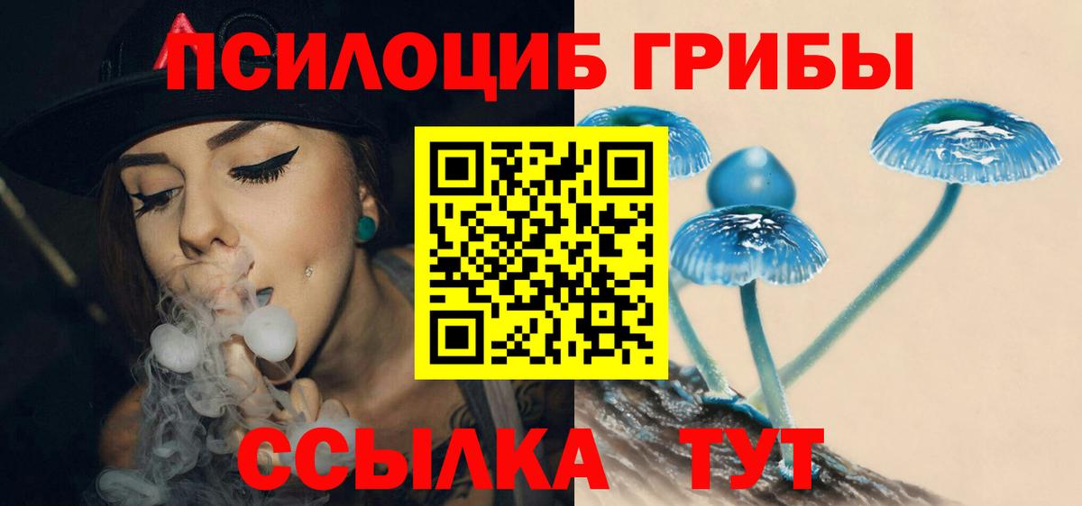Псилоцибиновые грибы мухоморы Каменск-Уральский