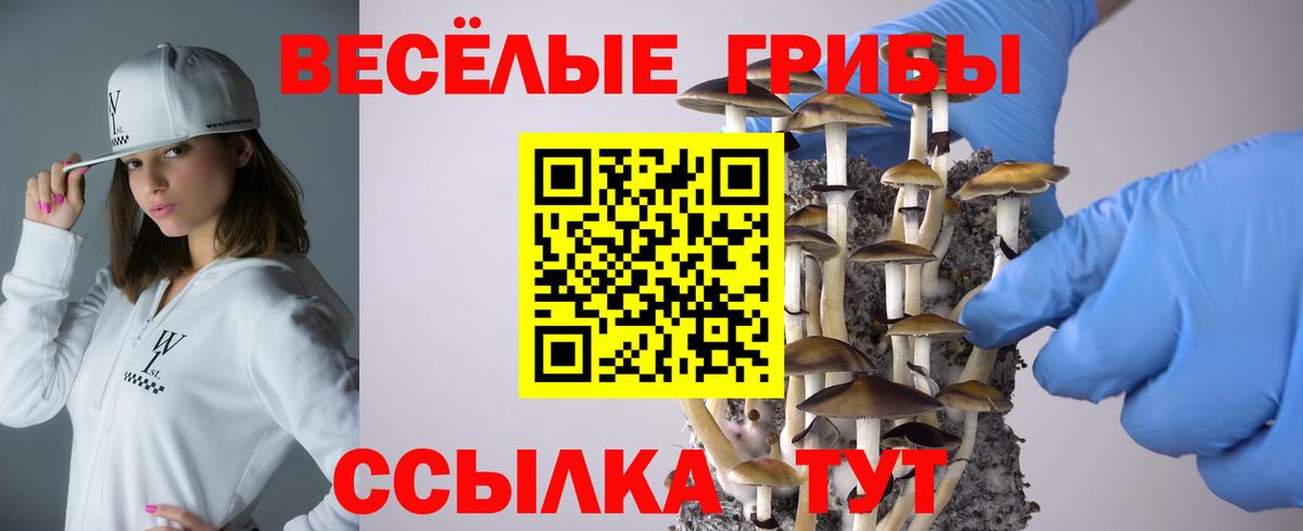 Каменск-Уральский  Псилоцибиновые грибы Cubensis  Вход с VPN 